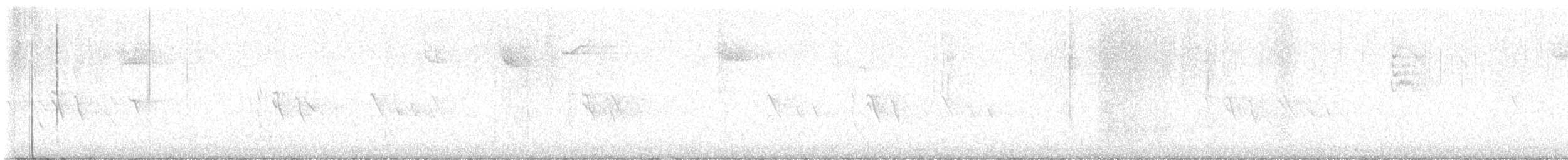 lesňáček černobílý - ML618115466