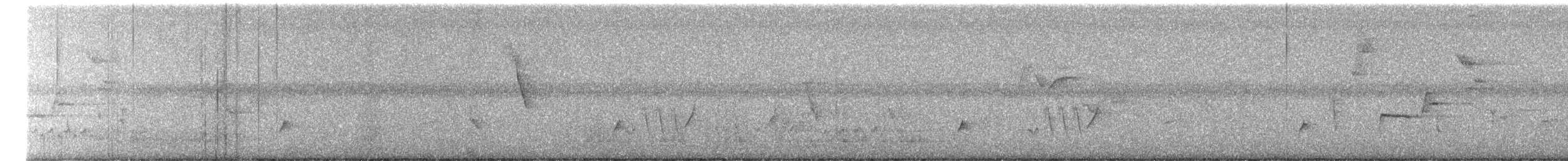 Дрізд-короткодзьоб Cвенсона - ML618115670