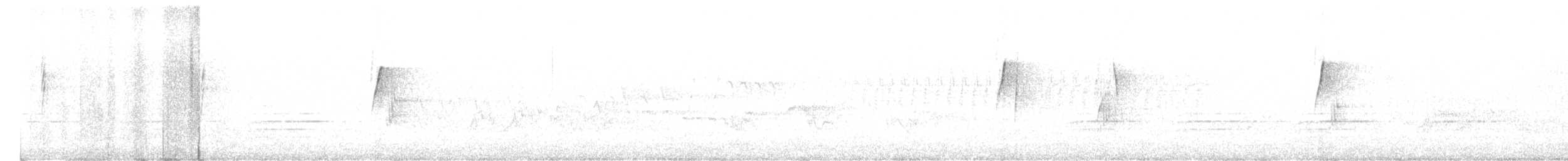 ハモンドメジロハエトリ - ML618117384
