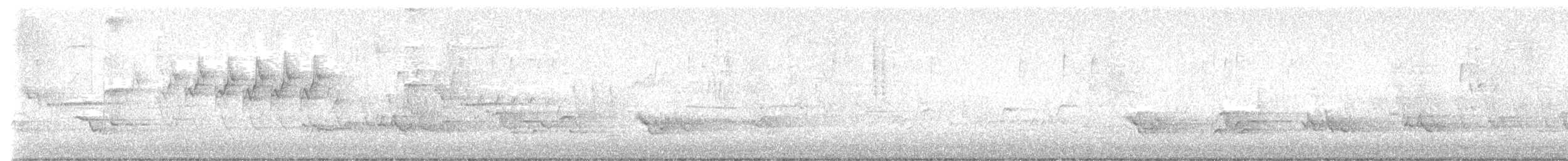 キヅタアメリカムシクイ（coronata） - ML618117846