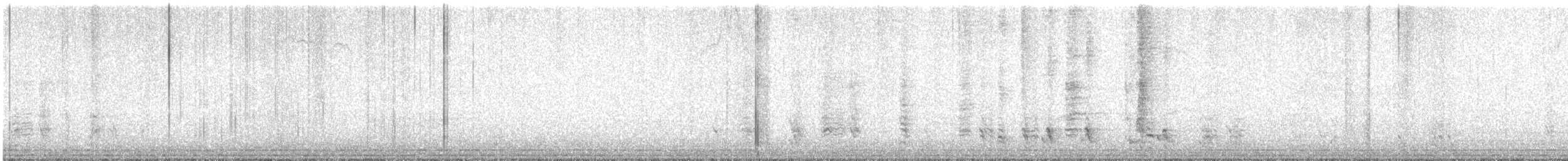 Spangled Drongo - ML618118826