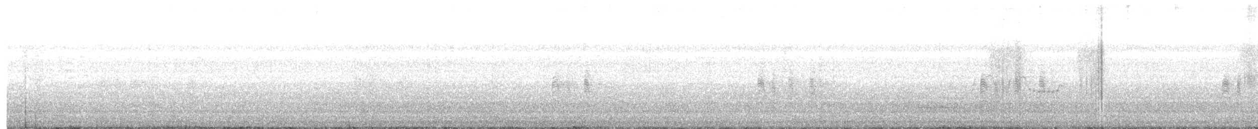 Antillennachtschwalbe - ML618124840