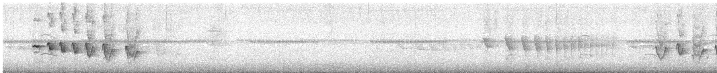 Bertoni Karıncakuşu - ML618125753