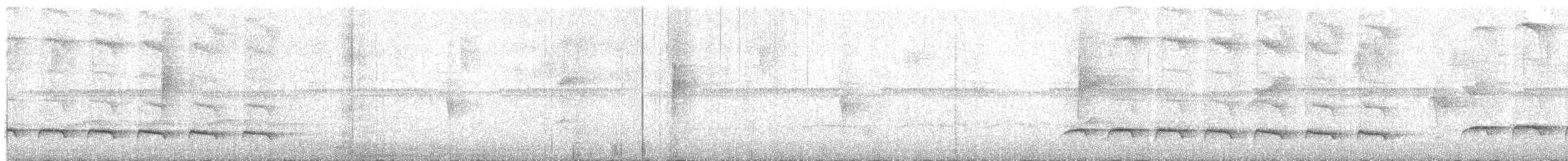 Ak Kanatlı Alev Karıncakuşu - ML618125914