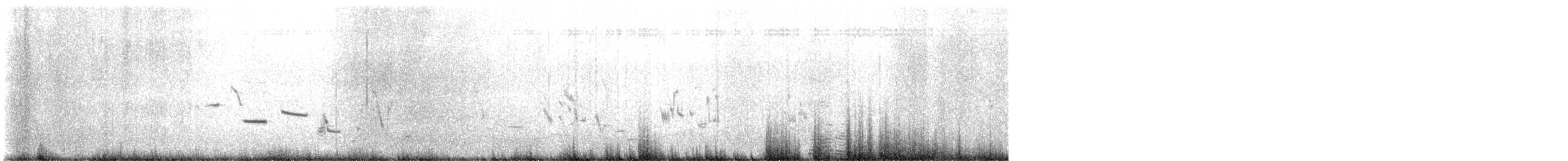 Plectrophane à ventre gris - ML618127115