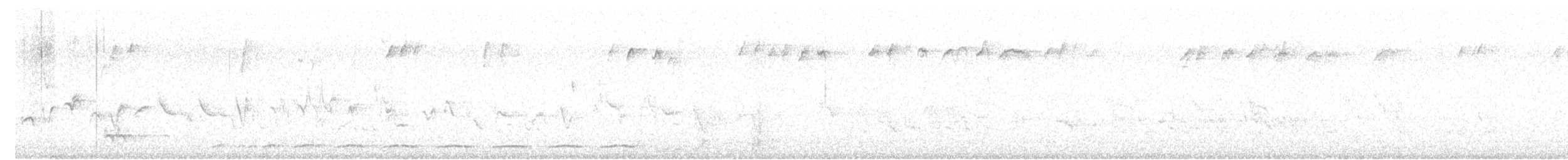 Zebra Dove - ML618127939