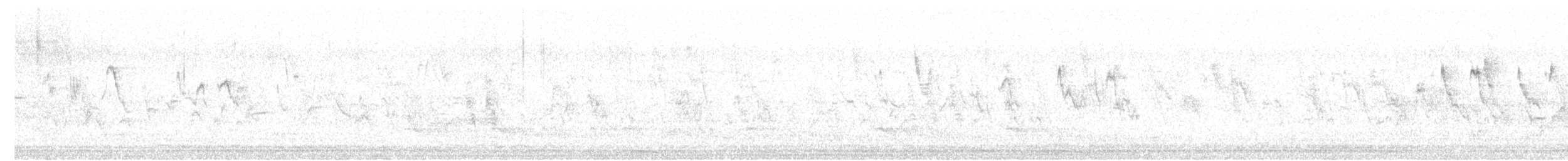holoubek vlnkovaný - ML618128988
