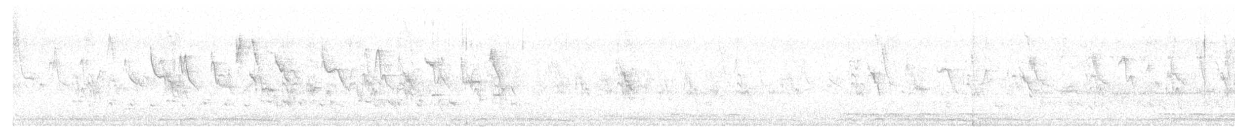 Zebra Dove - ML618129199