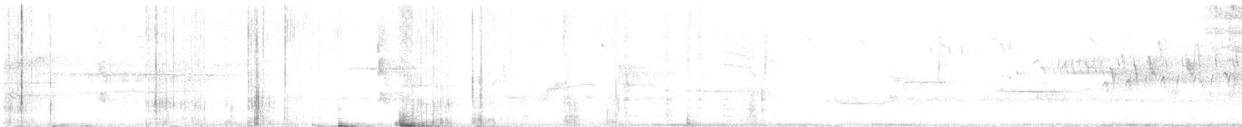 strakapoud kokardový - ML618130500