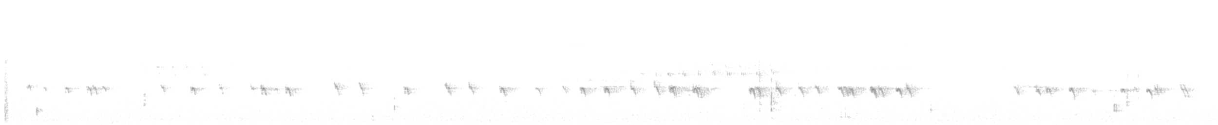 Шишкар ялиновий - ML618130561