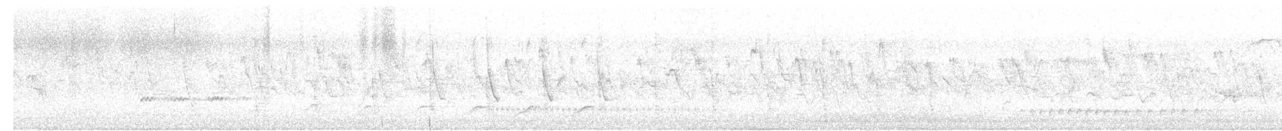 holoubek vlnkovaný - ML618131471