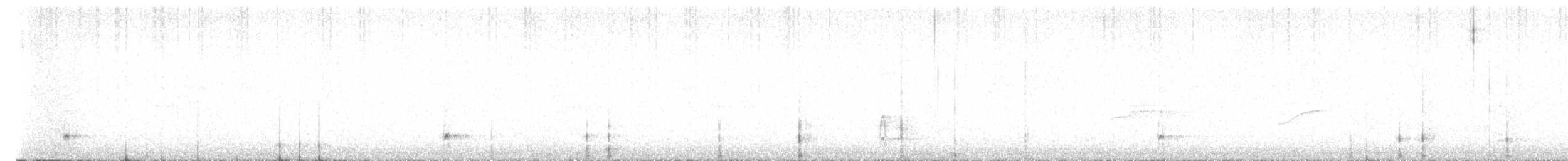 Pic à dos blanc (groupe leucotos) - ML618131771