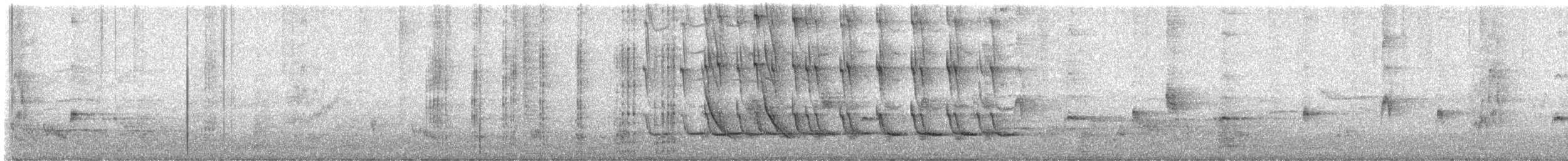 インドハッカ - ML618133053