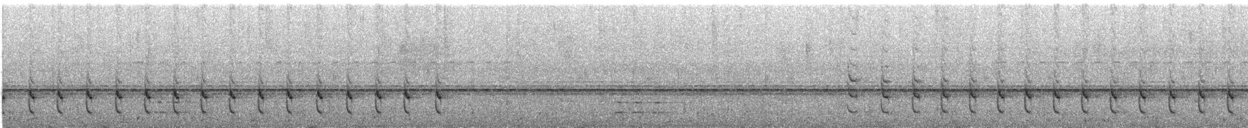 Weißkronentapaculo - ML618135158