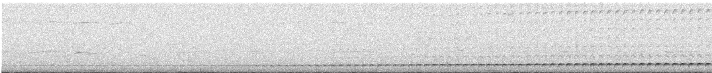 Bindenbrust-Ameisendrossel - ML618135244