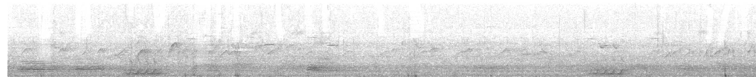 volavka stříbřitá (ssp. garzetta) - ML618136271