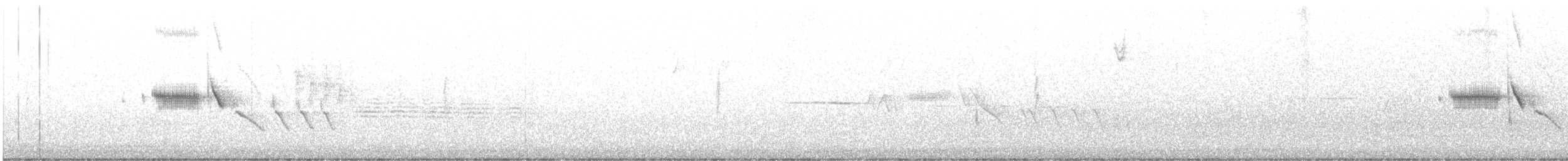 White-crowned Sparrow - ML618137109