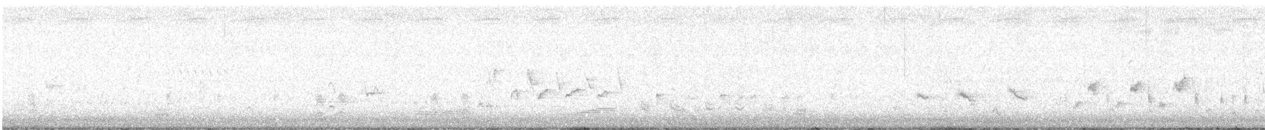 Australrohrsänger - ML618143121