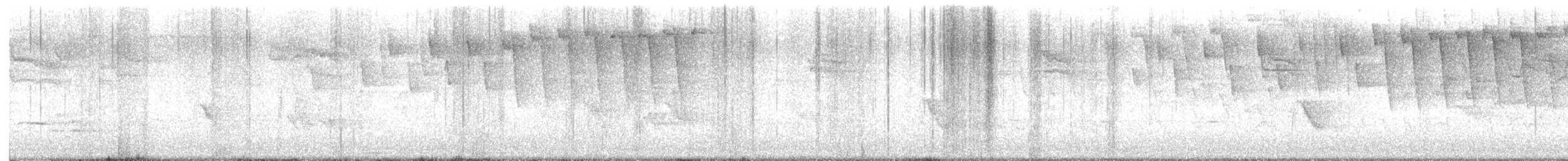 Gray-cheeked Thrush - ML618146807