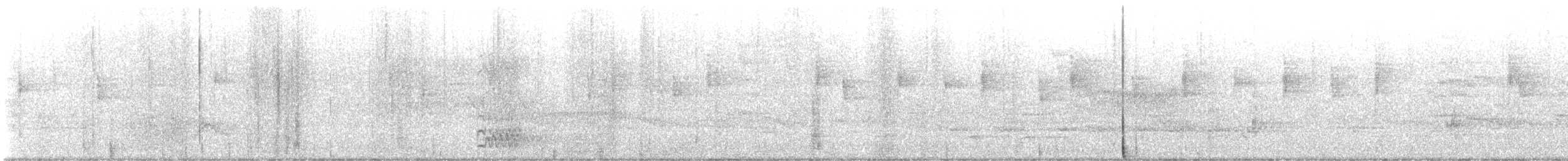 nordmyggsmett (caerulea) - ML618147281