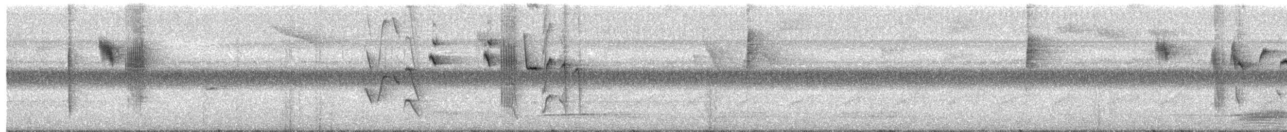 Краснохвостая джунглевая мухоловка [группа ruficauda] - ML618148787