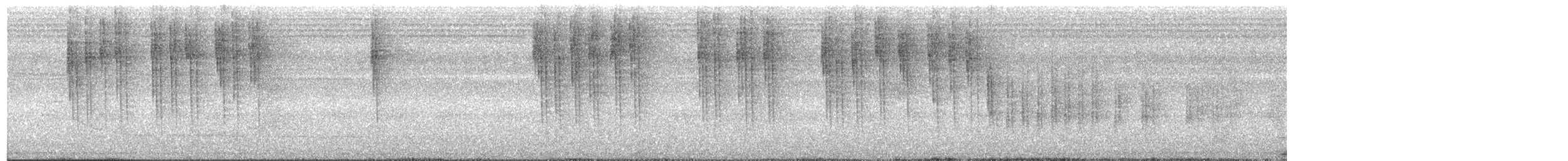 Weißbauch-Mistelfresser (pontifex) - ML618148995