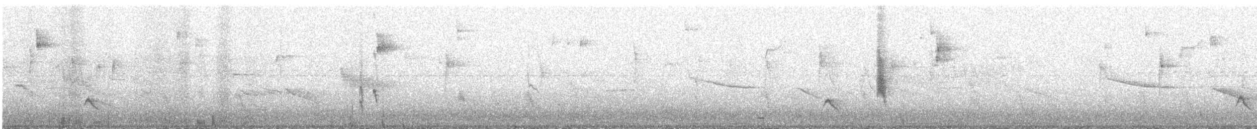 Свертушка маскова - ML618150691