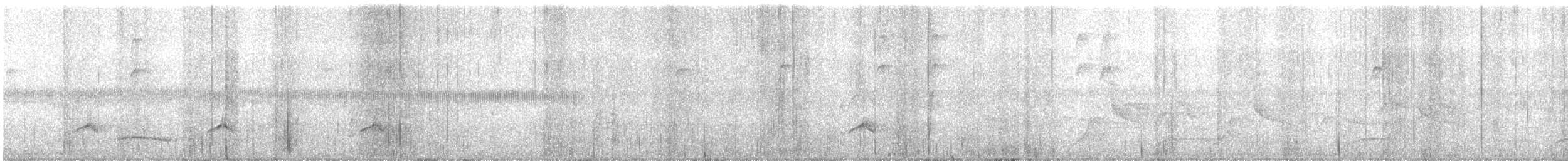 Myiarchus sp. - ML618152387