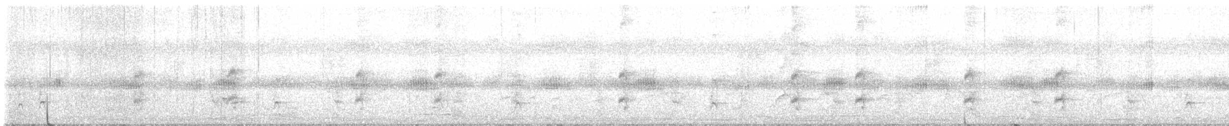 Myiarchus sp. - ML618153610