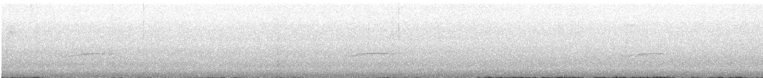 Western/Eastern Wood-Pewee - ML618154008