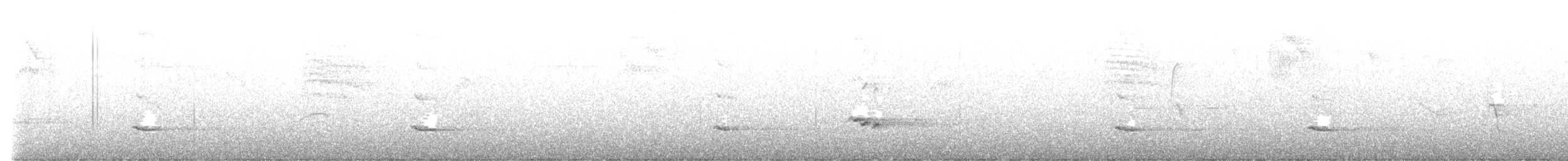Белоголовый орлан - ML618154011