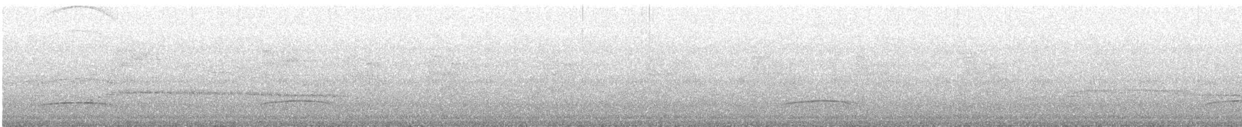 spydknottsmett (rufiventris gr.) - ML618154054