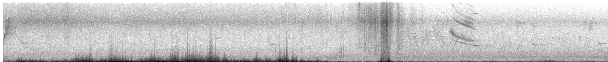 Protonoter Ötleğeni - ML618156964