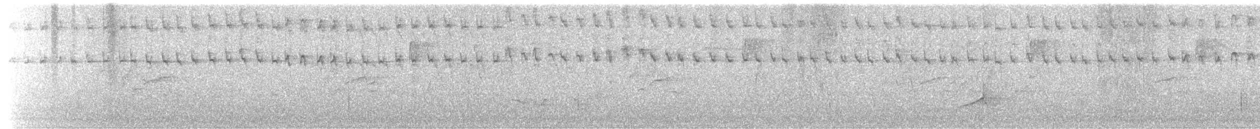 セジロコゲラ（pubescens／medianus） - ML618160906