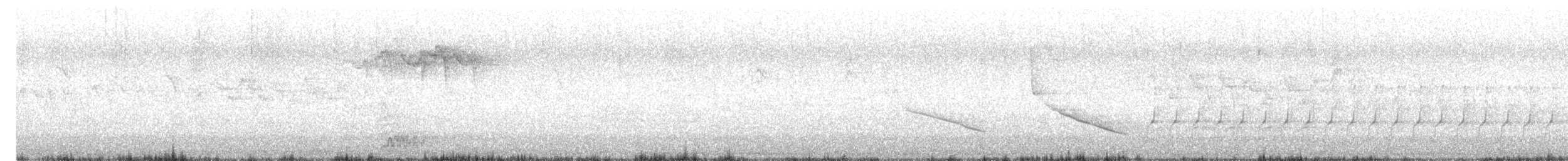 lesňáček černobílý - ML618163245