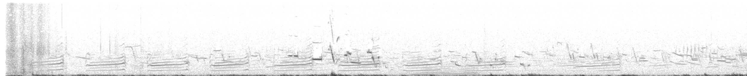 Barge marbrée - ML618167698