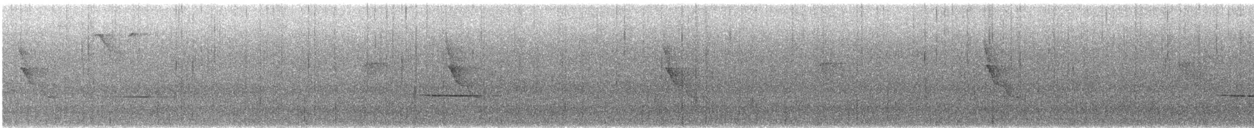 Pullu Çıtkuşu [marginatus grubu] - ML618168650