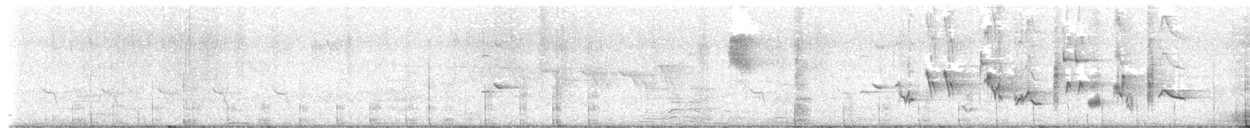 Oriole des vergers - ML618169725