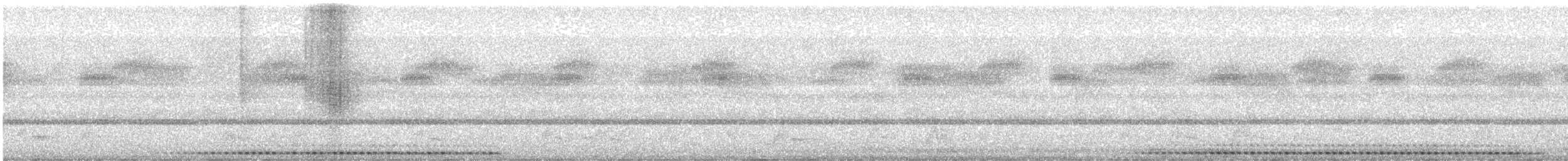 Сплюшка північна (підвид mccallii) - ML618171922