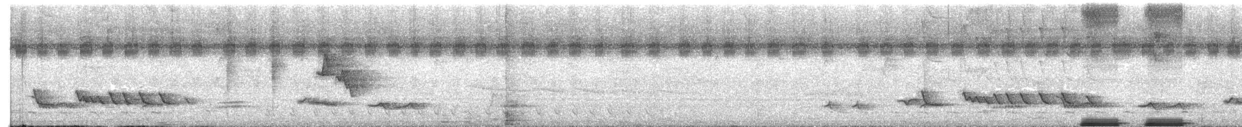 Белокрылый бекард - ML618172521