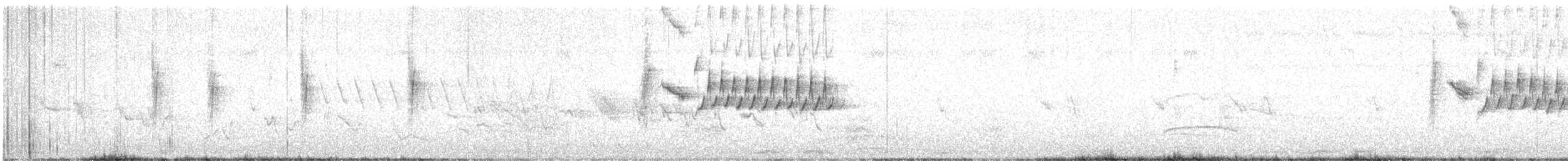 Cassinkönigstyrann - ML618173839