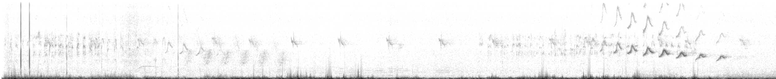 White-throated Swift - ML618174694
