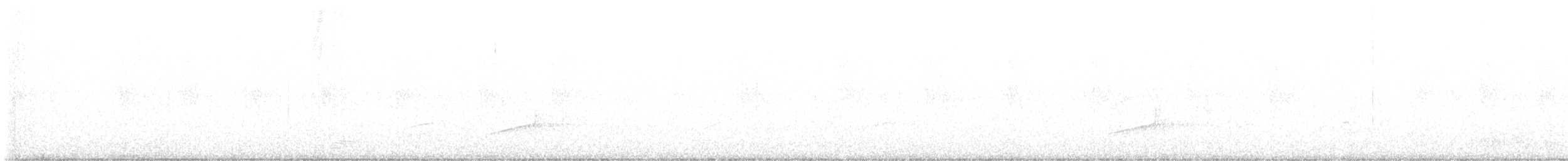 Копетон чубатий - ML618176364