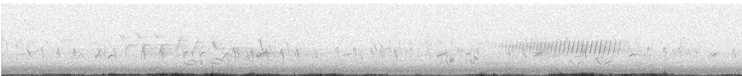 "Шишкар ялиновий (Northeastern, або тип 12)" - ML618177717