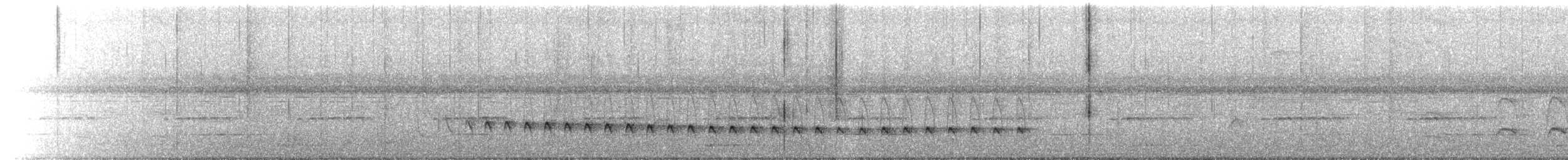Weißflanken-Ameisenschlüpfer - ML618179182