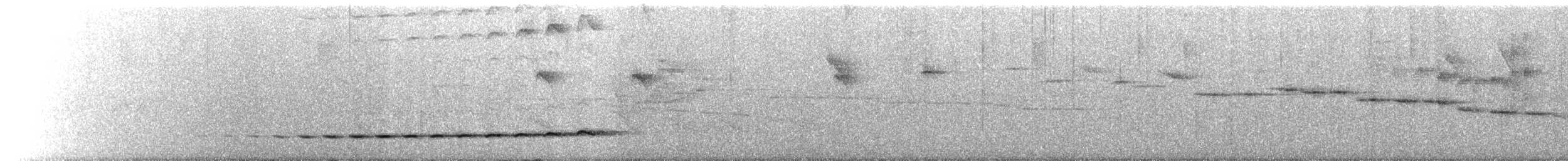 Grallaire de Natterer - ML618179539