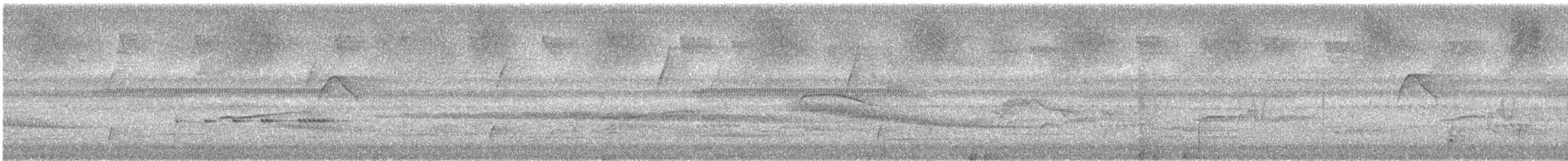 Тиран-крихітка білолобий - ML618179637