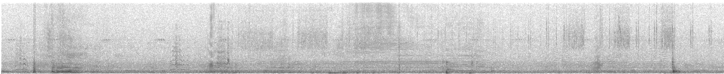Кривоклювый пересмешник [группа curvirostre] - ML618186141