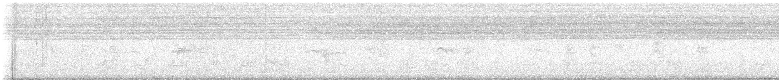 muskatnonne (nisoria gr.) - ML618189265