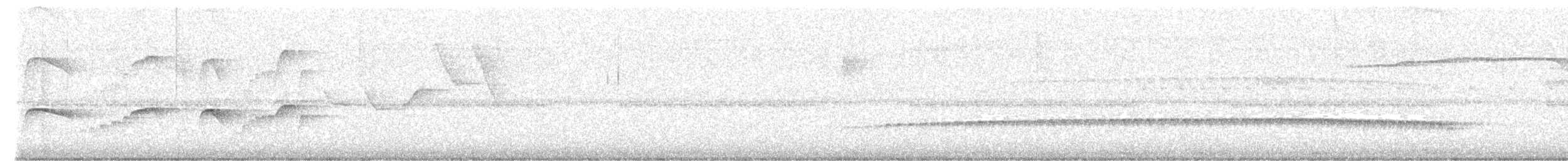 Atlantik Karınca Tiranı - ML618189480